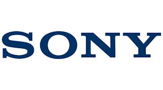 Sony PlayStation Logo